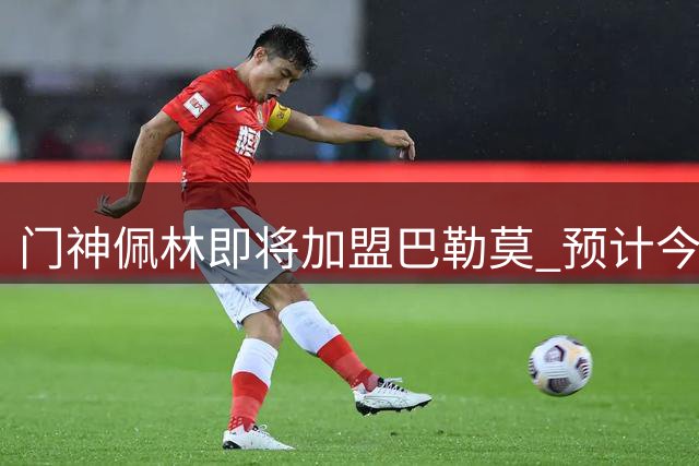 门神佩林即将加盟巴勒莫 预计今日完成签约